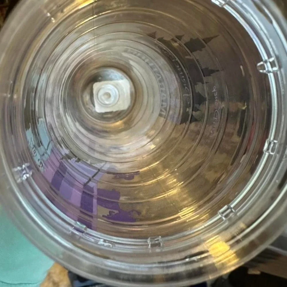 Disney Princess purple water bottle Half Marathon Weeknd 2019